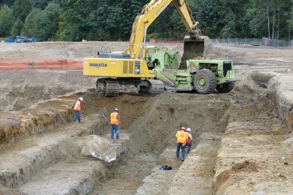 geologists in the field